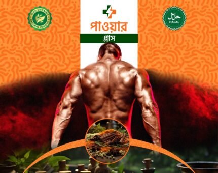 পাওয়ার প্লাস  চকলেট